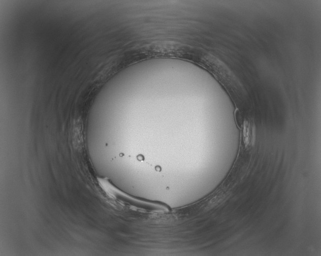 X0000083531107200702240011