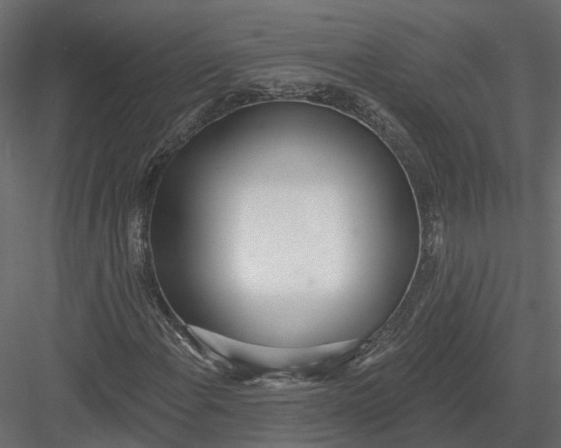 X0000083531108200702240011