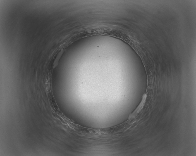 X0000083531109200702240011