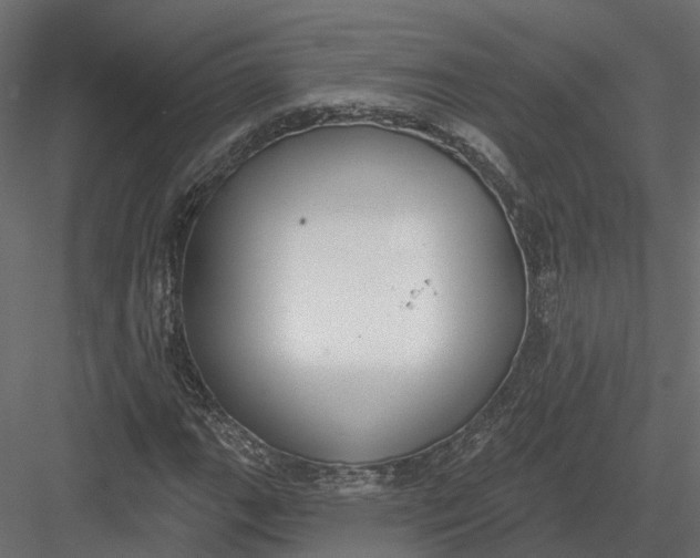 X0000083531111200702240011