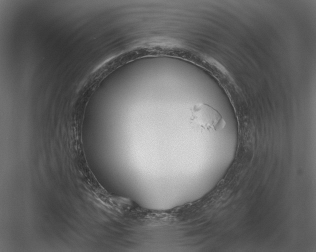 X0000083531112200702240011