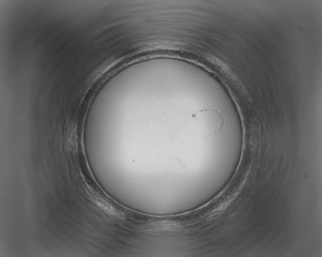 X0000083531113200702240011