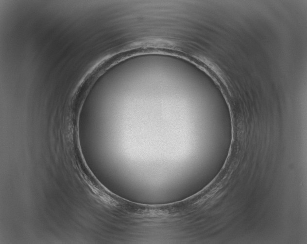 X0000083531115200702240011