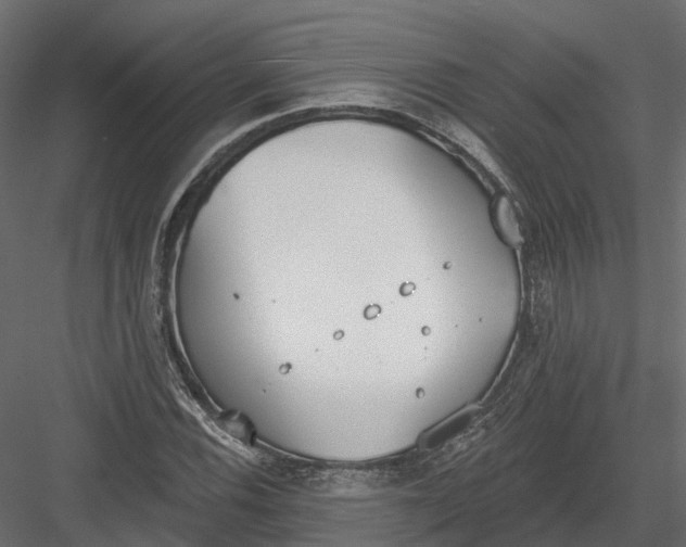 X0000083531116200702240011