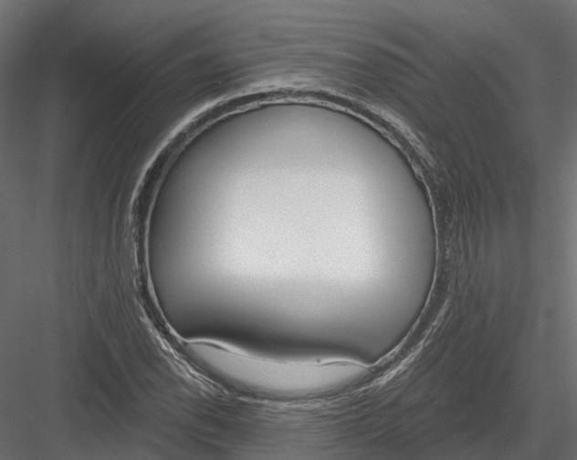 X0000083531118200702240011