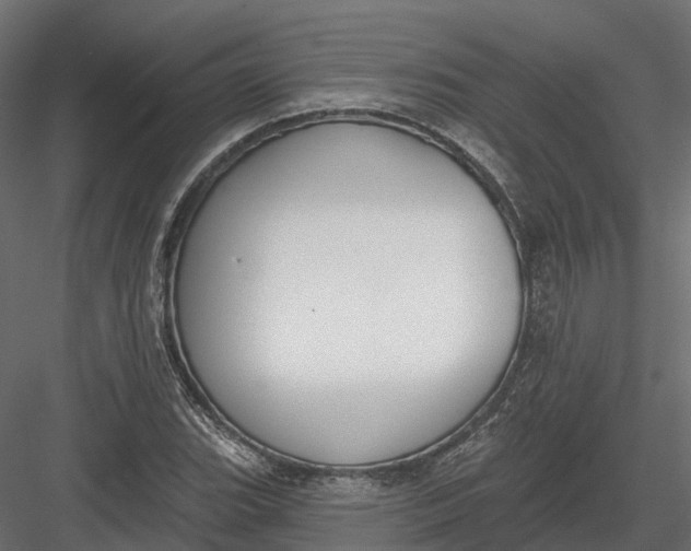 X0000083531119200702240011