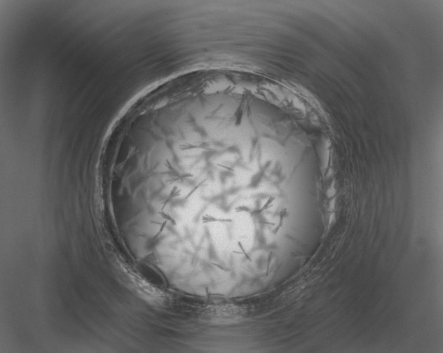 X0000083531120200702240011