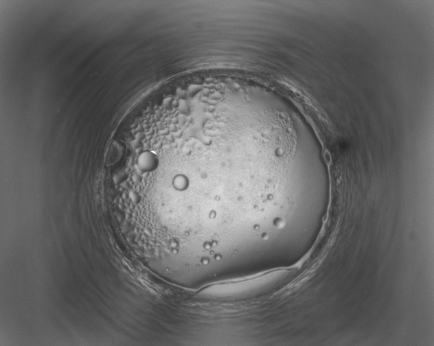 X0000083531121200702240011