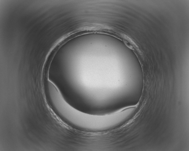 X0000083531122200702240011