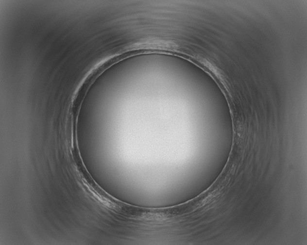 X0000083531123200702240011