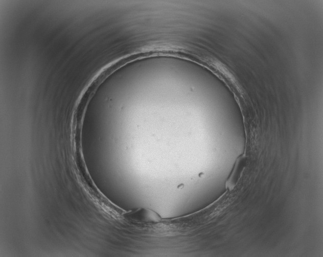 X0000083531124200702240011