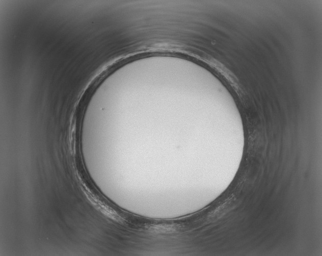 X0000083531126200702240011