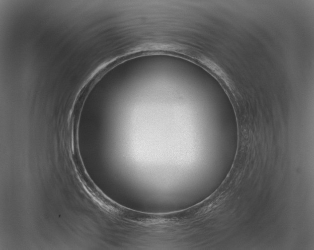 X0000083531127200702240011