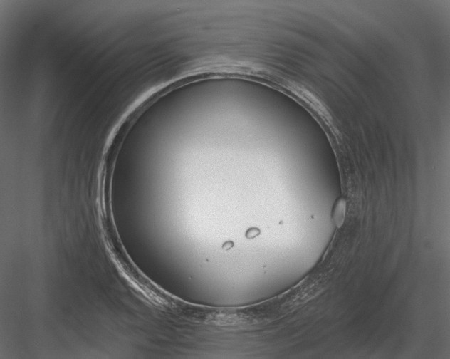 X0000083531128200702240011