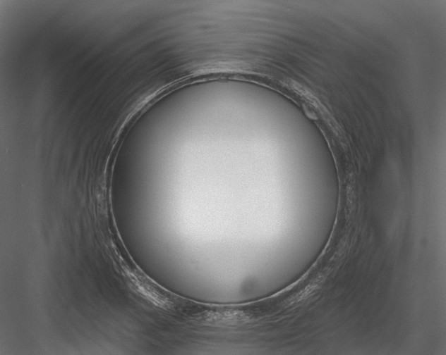 X0000083531129200702240011