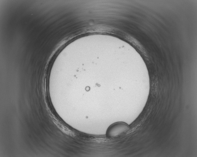 X0000083531130200702240011