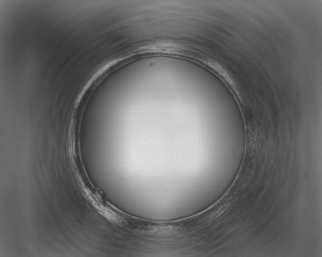 X0000083531131200702240011