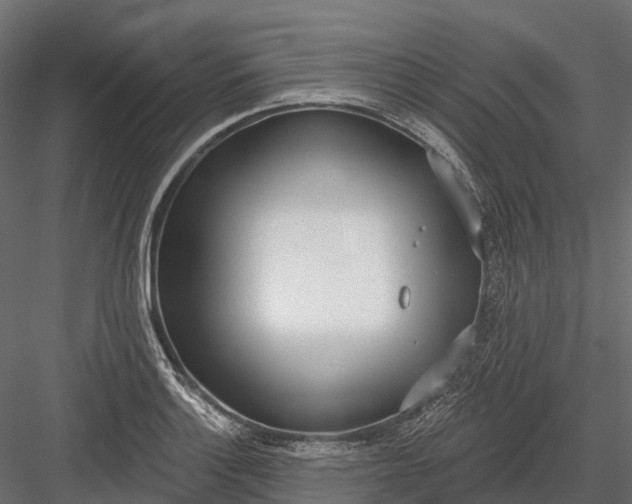 X0000083531132200702240011