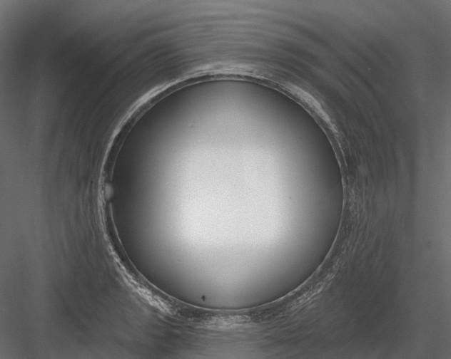 X0000083531133200702240011