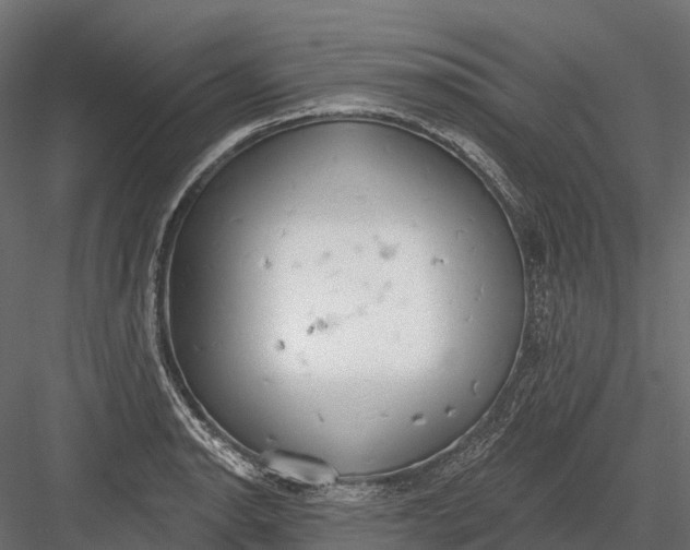 X0000083531134200702240011