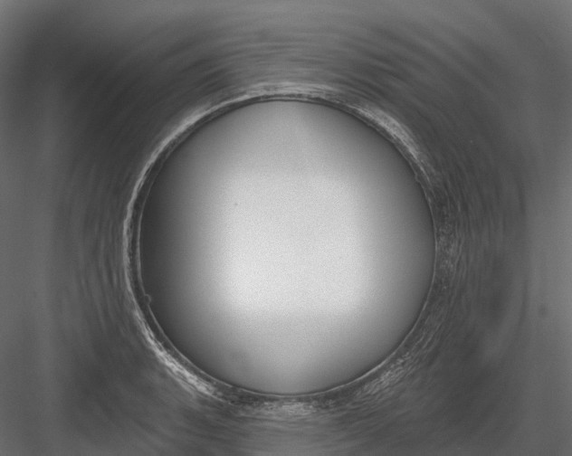 X0000083531135200702240011