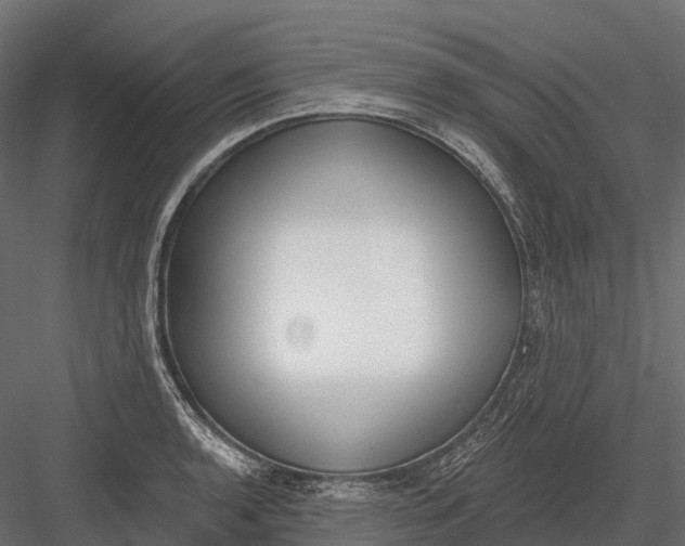 X0000083531136200702240011