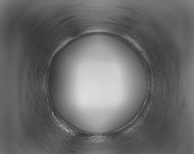 X0000083531137200702240011