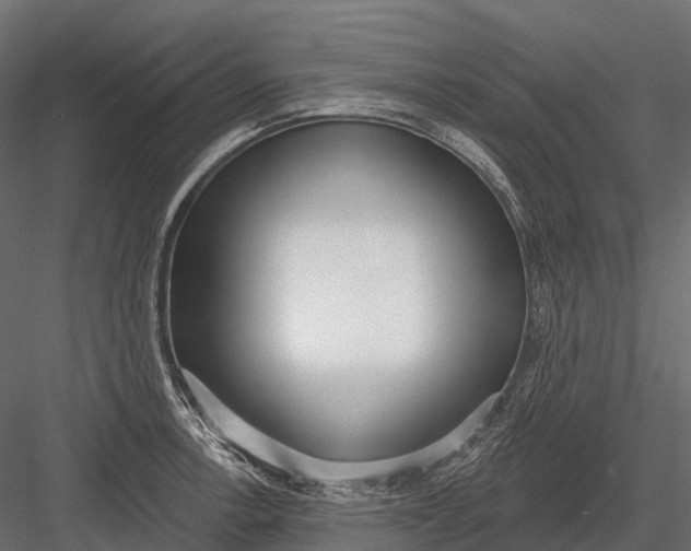 X0000083531138200702240011