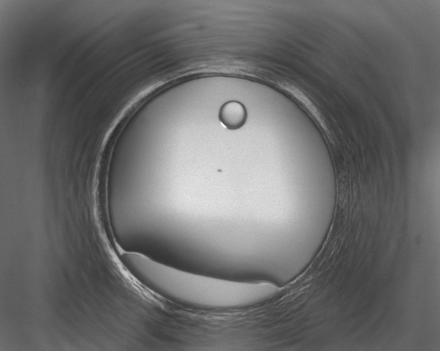 X0000083531139200702240011