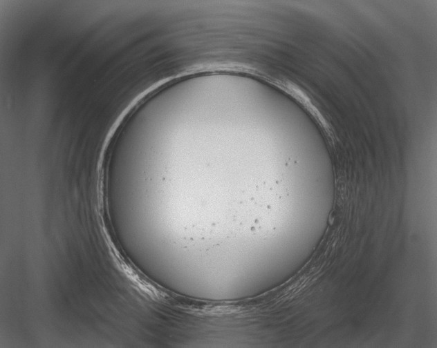 X0000083531140200702240011