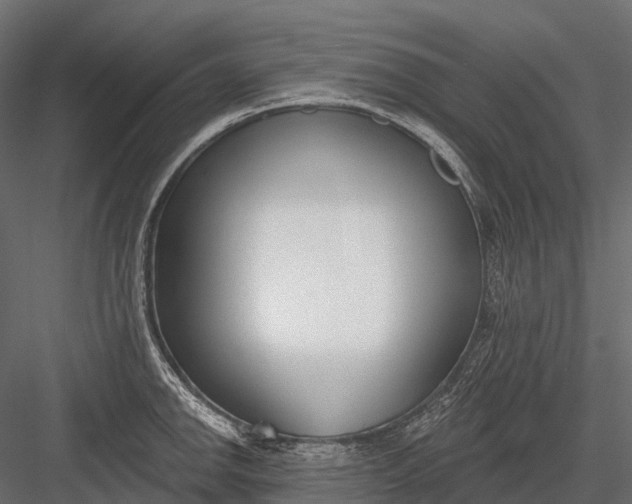 X0000083531142200702240011