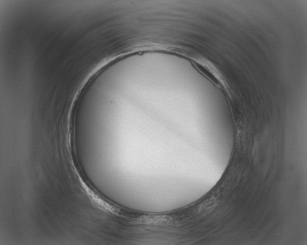 X0000083531143200702240011