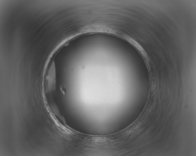 X0000083531144200702240011