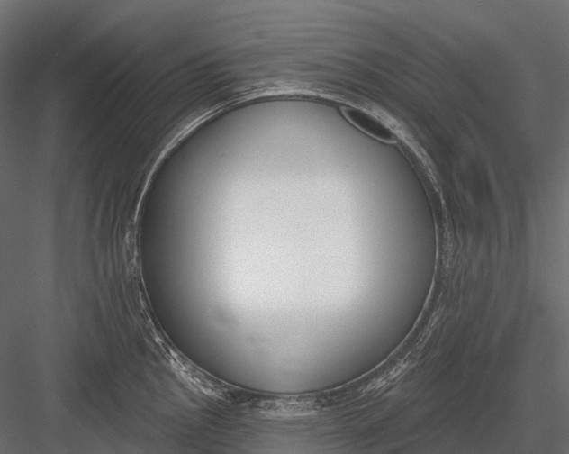 X0000083531145200702240011