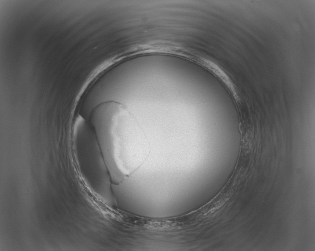 X0000083531146200702240011