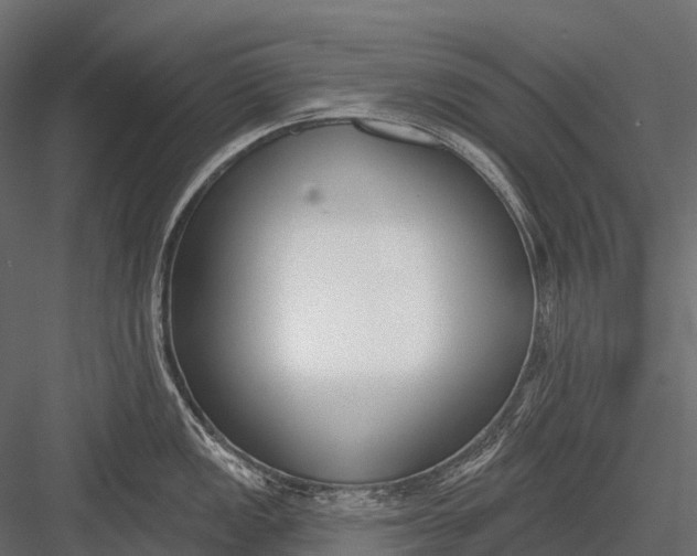 X0000083531149200702240011