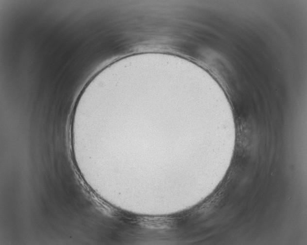 X0000083531150200702240011