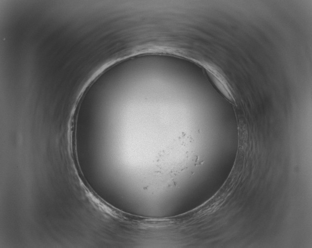 X0000083531151200702240011