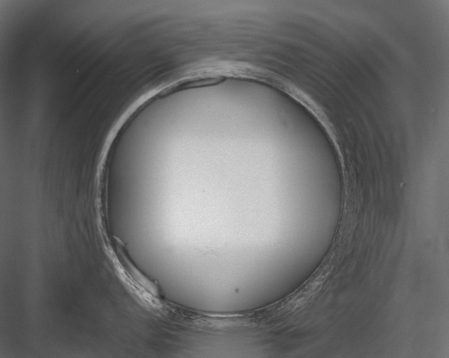 X0000083531152200702240011