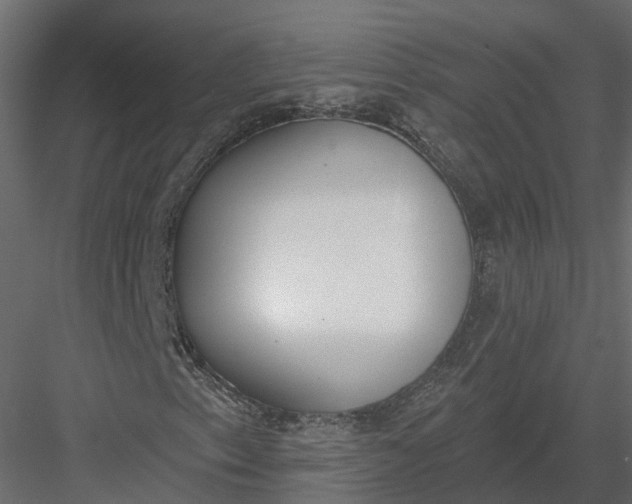 X0000083531153200702240010