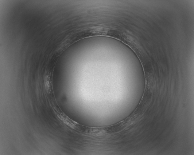 X0000083531154200702240010