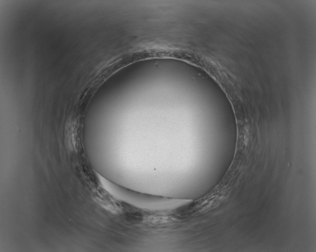 X0000083531157200702240010