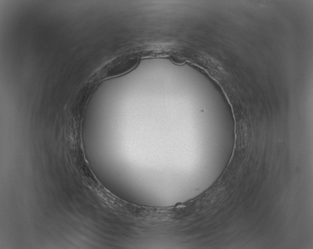 X0000083531158200702240010