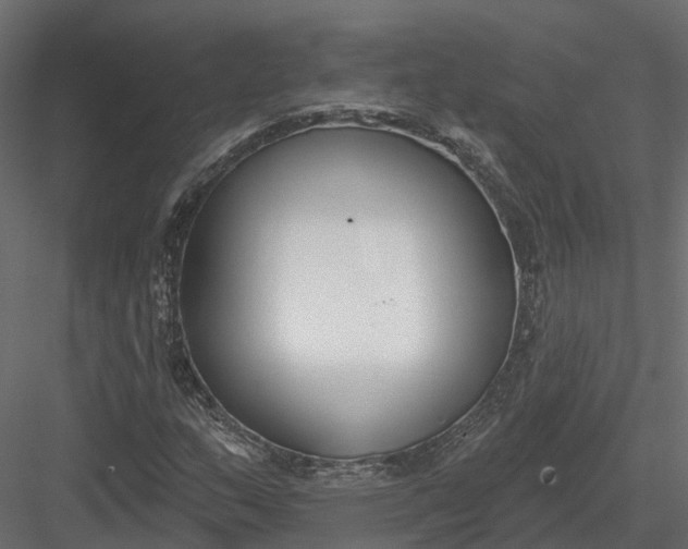 X0000083531159200702240010