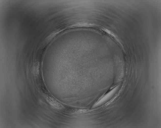 X0000083531161200702240010