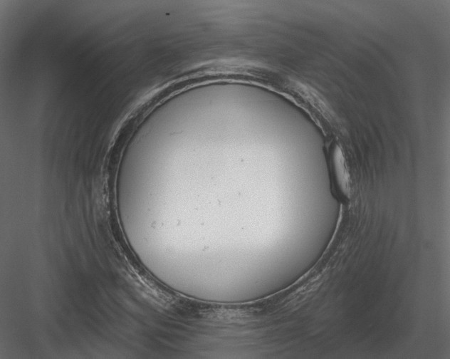 X0000083531164200702240010