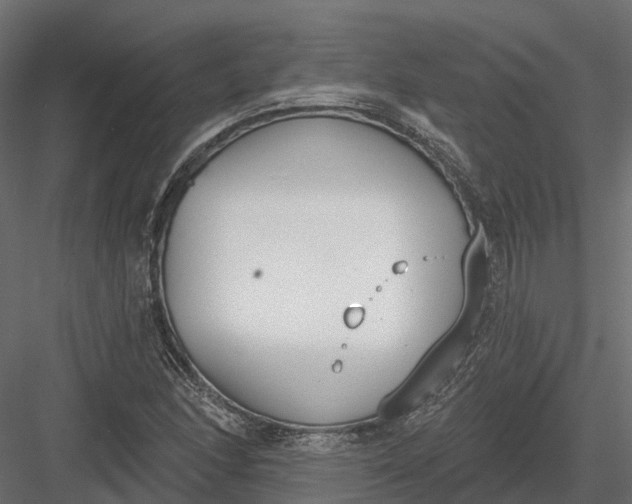 X0000083531166200702240010