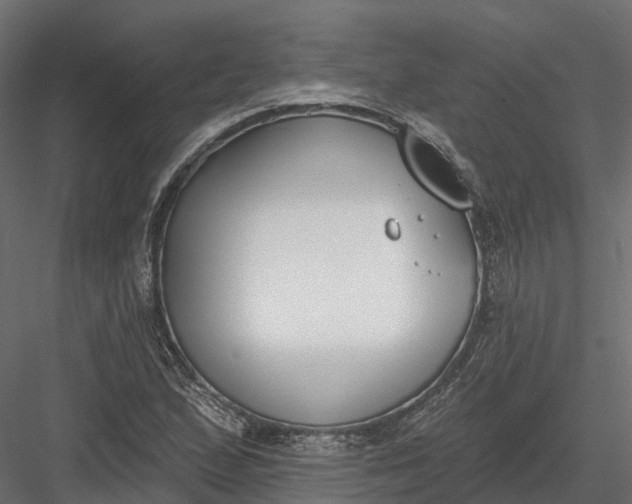 X0000083531167200702240010