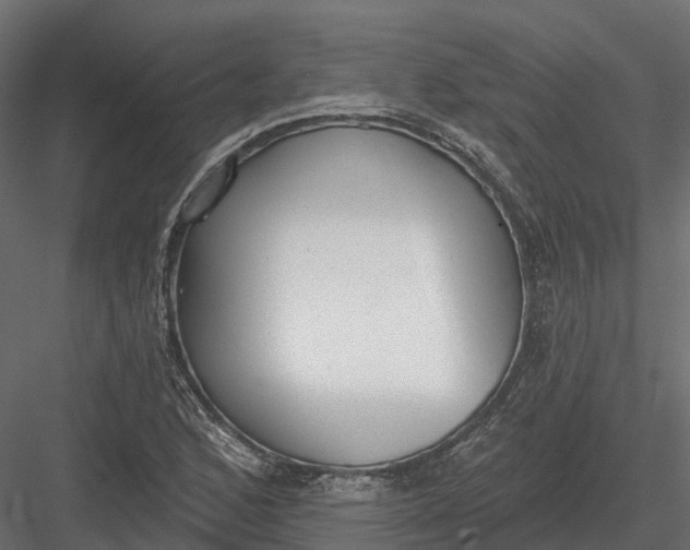 X0000083531168200702240010