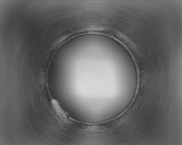 X0000083531169200702240010